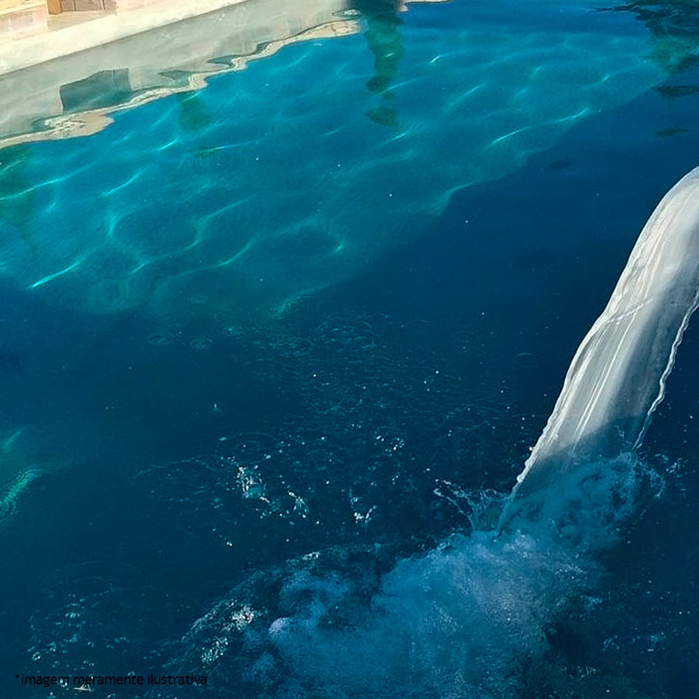 Algicida Manutenção para Piscina 1L Limper Atcllor