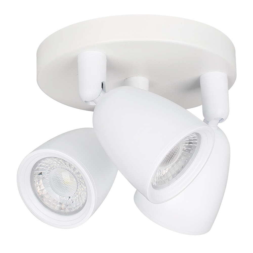 Product main image - 7d80d4d2-7554-428c-b0e0-e03d08dff91e