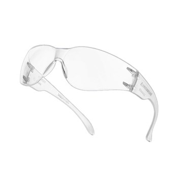 Óculos de Proteção Summer Delta Plus