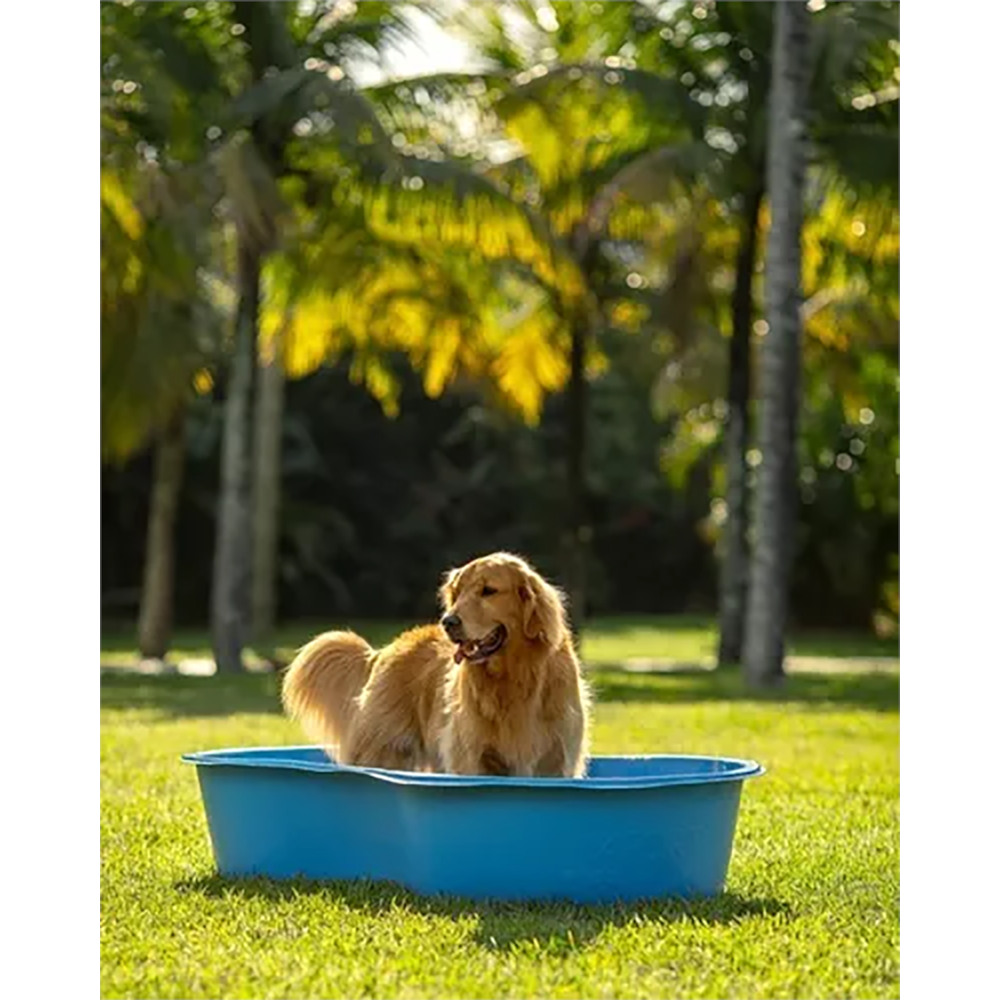 Piscina Feijão Azul Polietileno 50l Afort