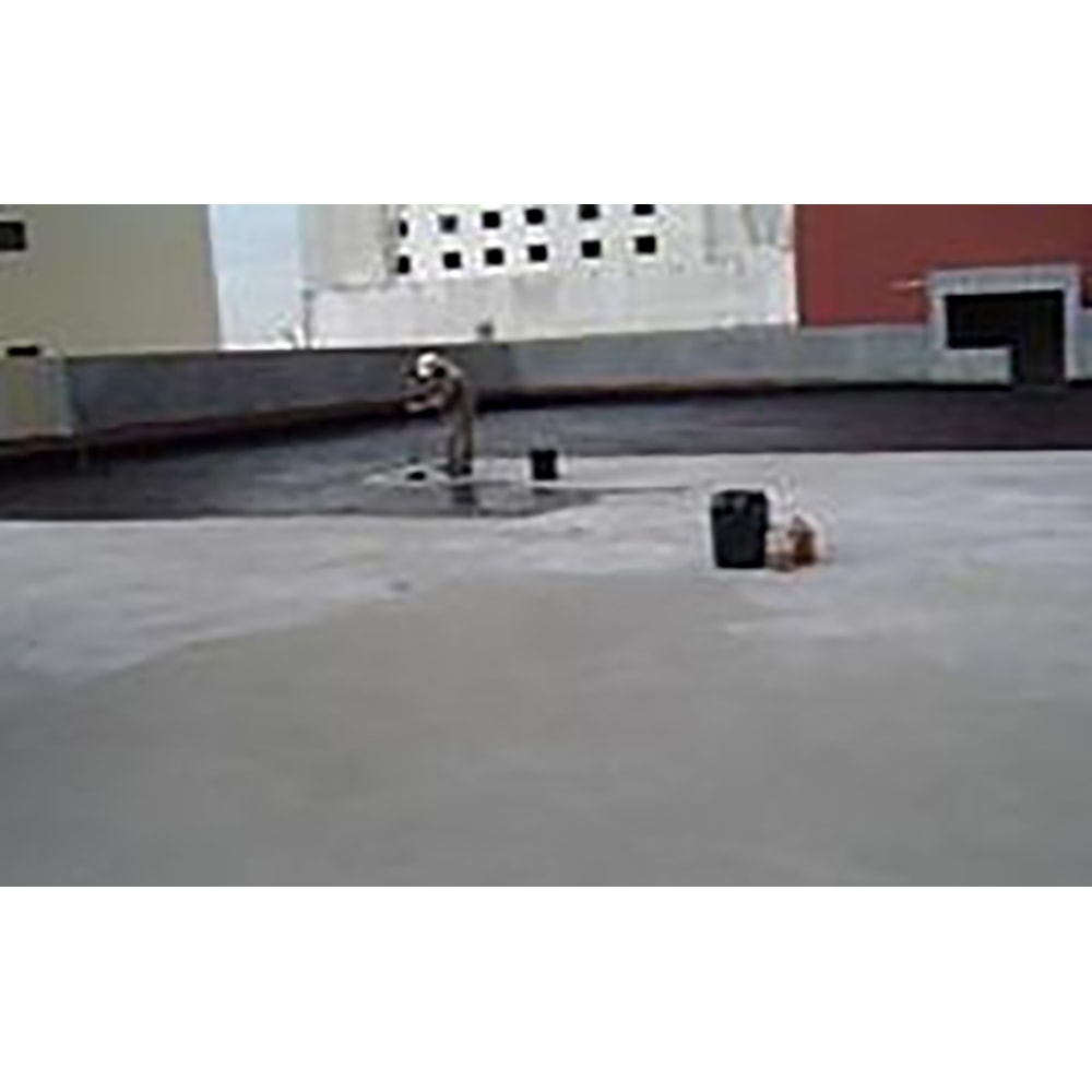 image_fb3db8a1-071f-4bad-8196-cbb0f25a54c4