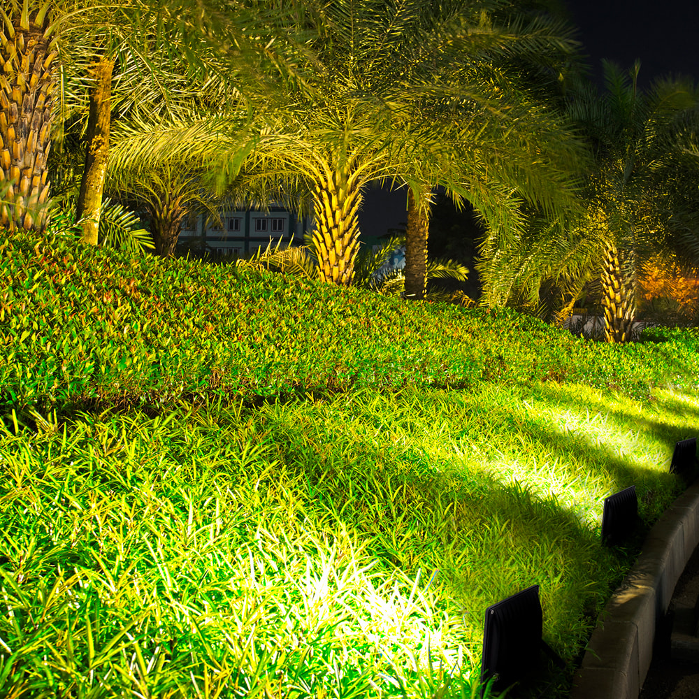 image_14af3f2d-a625-4105-9de0-9b8403bb8ee5