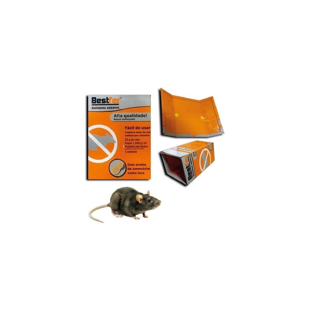 Product main image - aa3c94d8-86d0-496a-8e2e-030b8628ab49