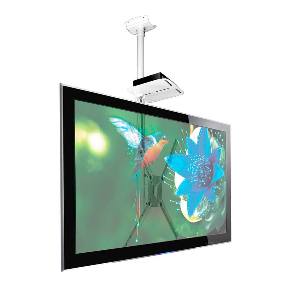 Suporte de Teto para TV LED, LCD 10" a 55" Branco Brasforma