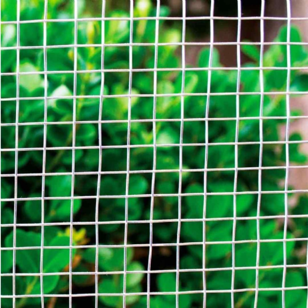 image_5baef4a1-c8e7-4737-88d2-3380af10beed