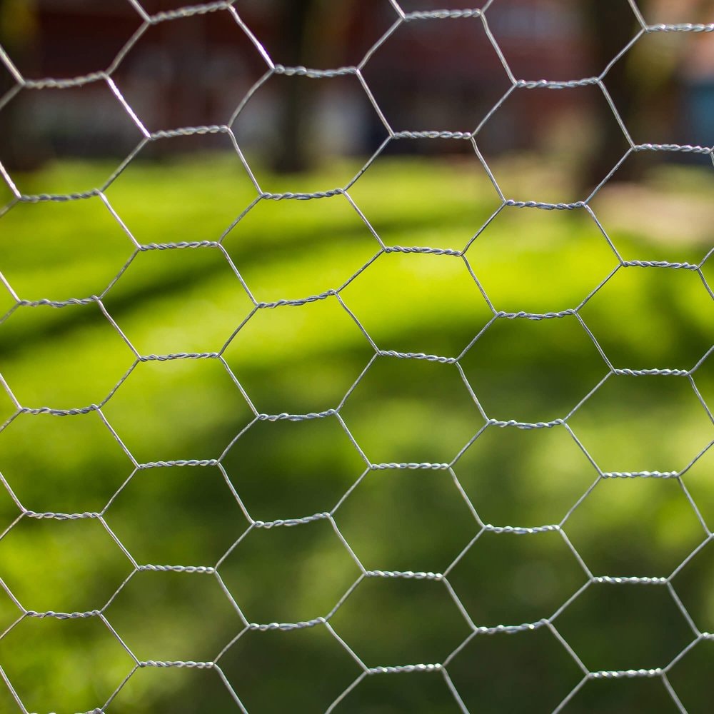 image_f6635ac0-0d1f-4d59-8254-6bc30d831b47
