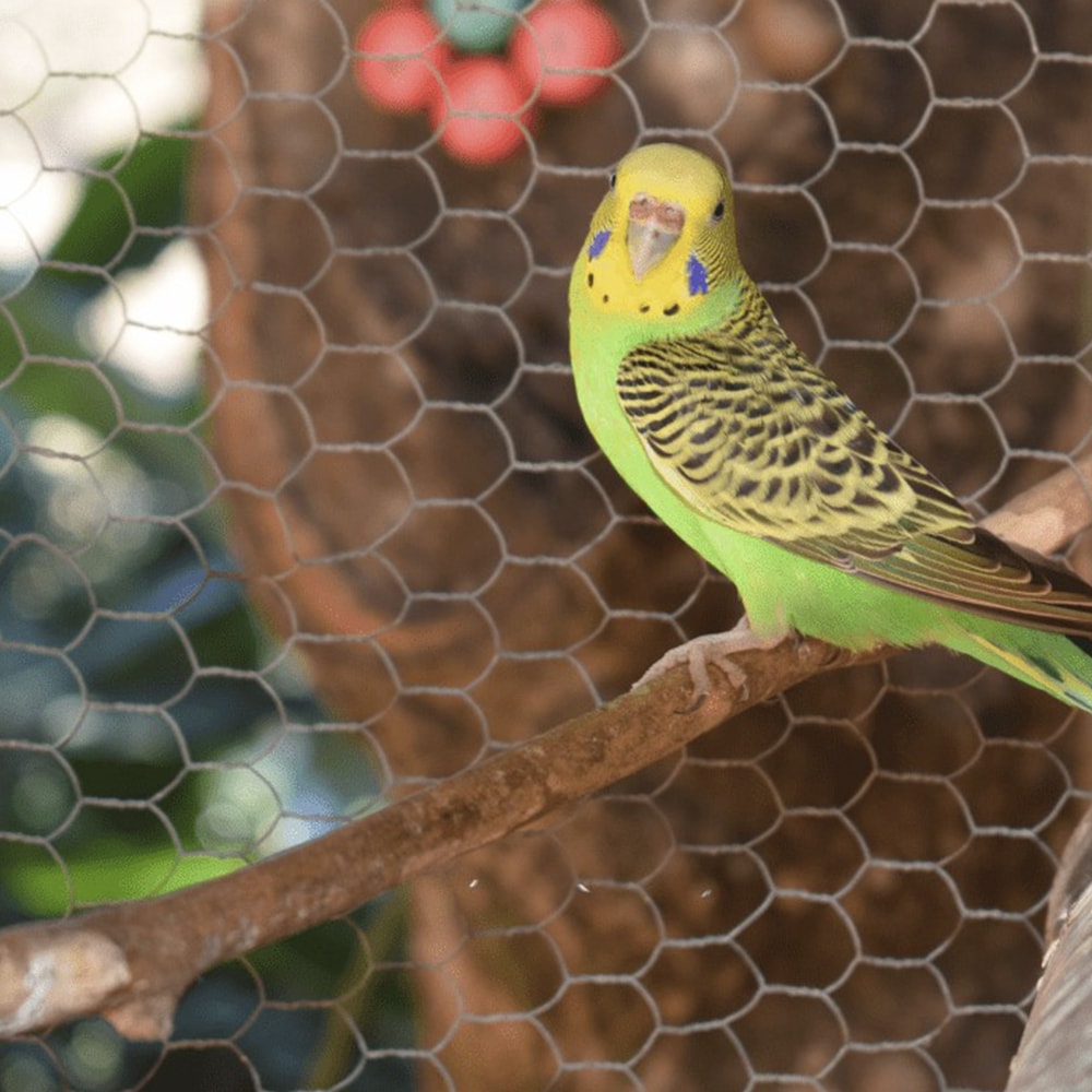 image_9c5087de-8bd1-4d31-b07d-424c2f2b8091