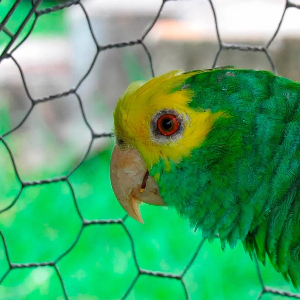 image_fcabebc7-a2b2-4cc2-86e6-b310af0d376e