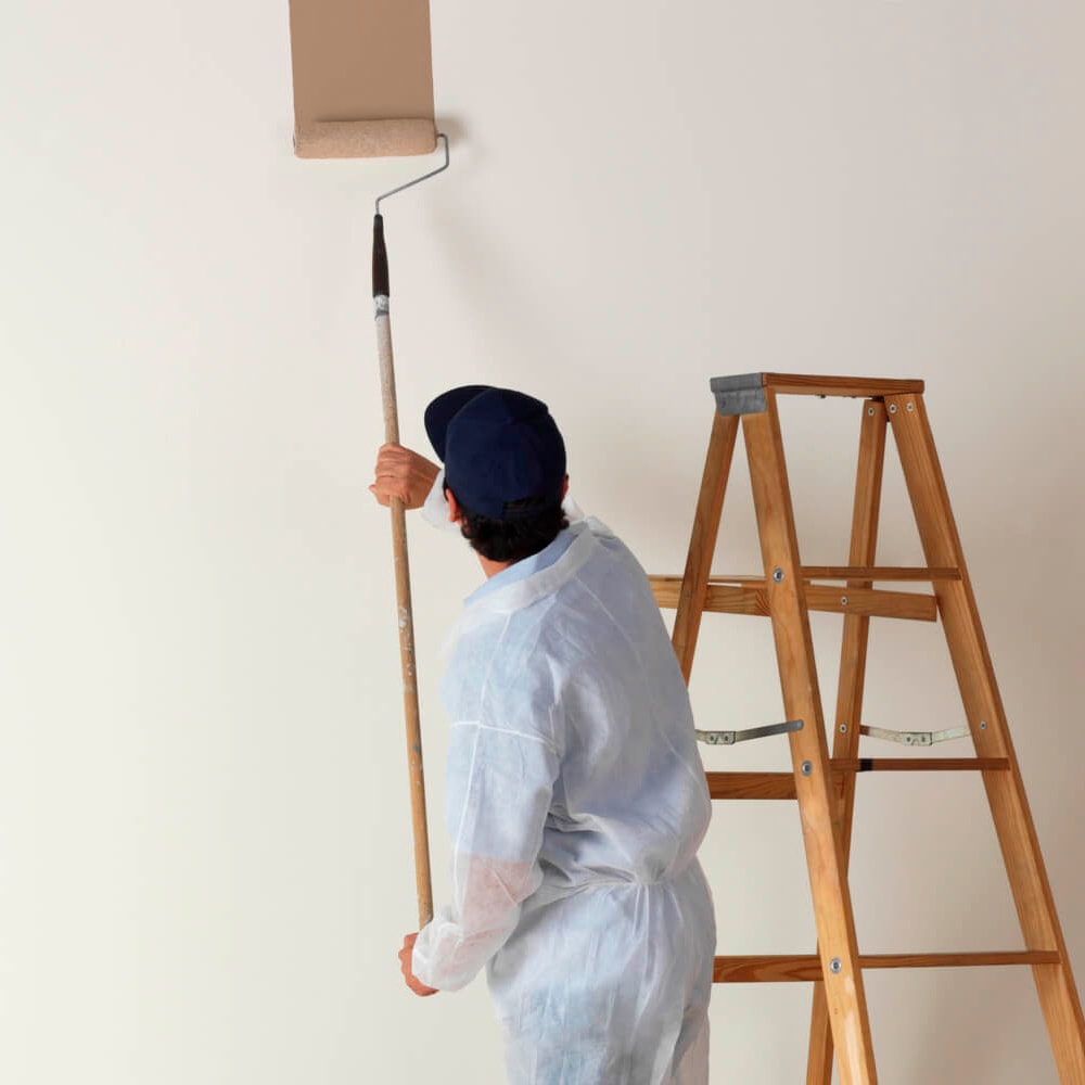 image_d79725ab-e873-4f6a-9b92-1e2b1721de4f