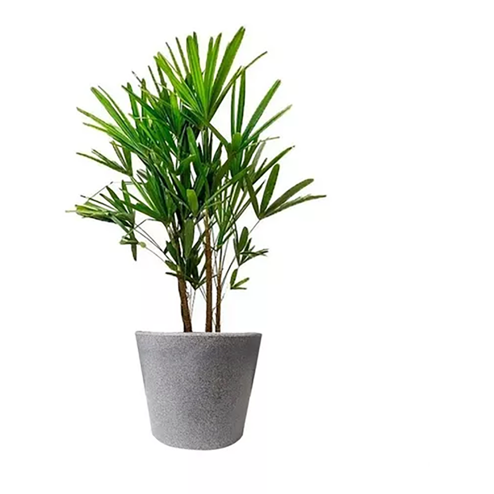 Product main image - 99403b80-3a7f-47b5-96d9-9fcb137e6b0b