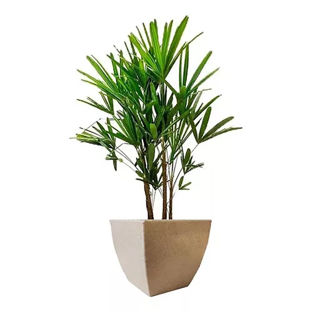 Vaso De Planta Quadrado Bege Apolo 25 cm Pvc Afort