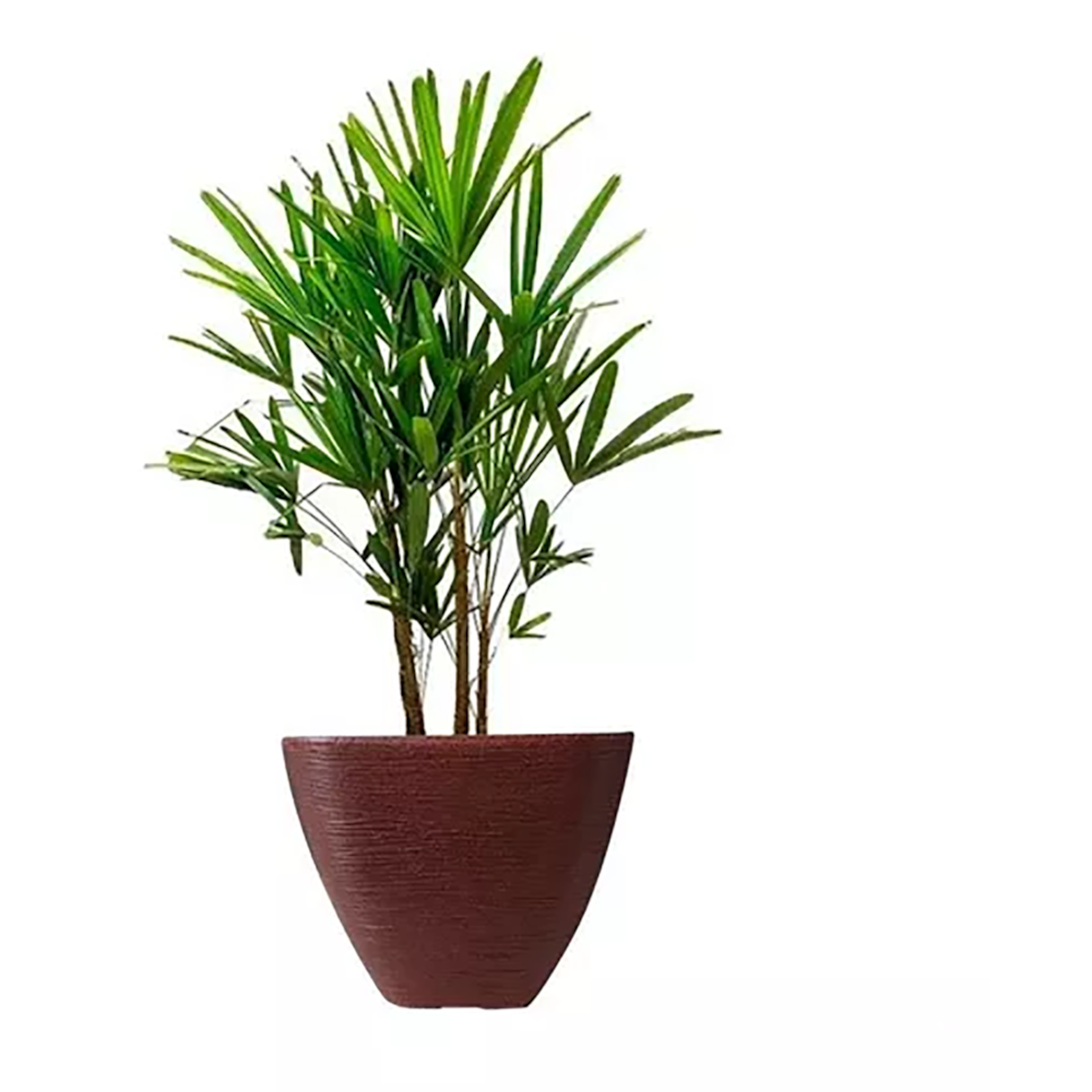 Product main image - 97d4e040-0373-498a-b202-64c2307bfb32